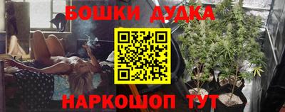 прущие грибы Обь