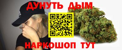 прущие грибы Обь